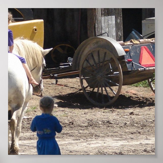 Affiches Les filles Amish et leur cheval (Devant)