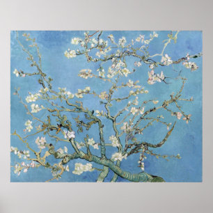 Affiches Les fleurs d'amandes de Vincent Van Gogh