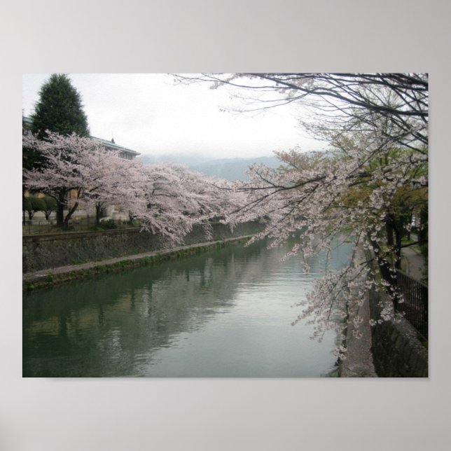 Affiches Les fleurs de cerisiers de Kyoto (Devant)