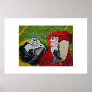 Affiches Les garçons