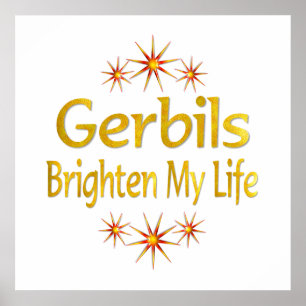 Affiches Les gerbilles éclairent ma vie