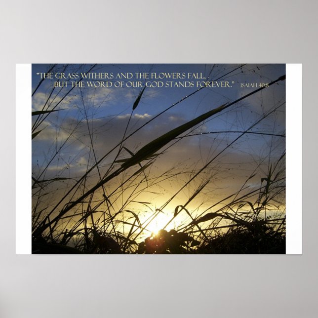 Affiches Les Grass Withers (Devant)