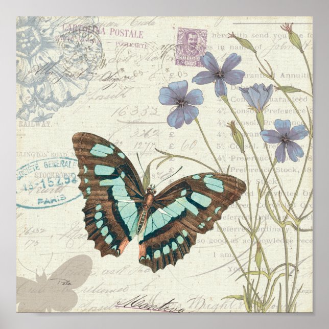 Affiches Les histoires de Papillon (Devant)