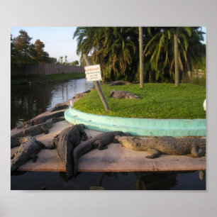 Affiches Les intrus Seront Mangés !