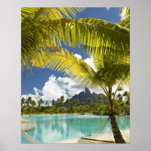 Affiches Les jardins et les paysages du nouveau St. Regis d