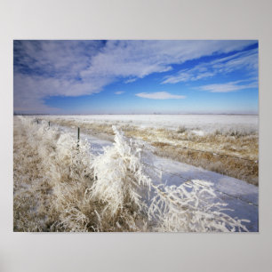 Affiches Les manteaux de Hoarfrost se sont écroulés et le