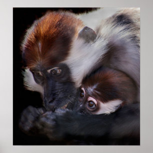 Affiches Les mères adorent