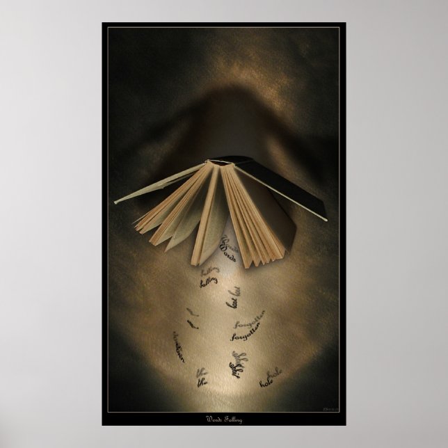 Affiches Les mots tombent (Devant)