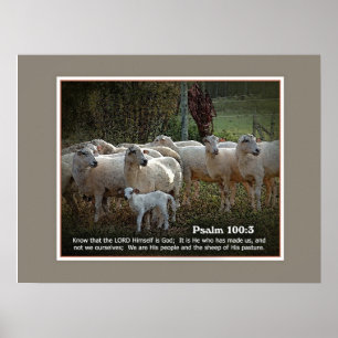 Affiches Les moutons de son PasturewScripture