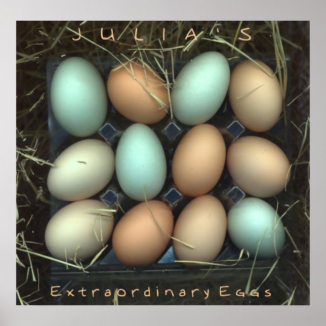 Affiches Les Oeufs extraordinaires de Julia (Devant)