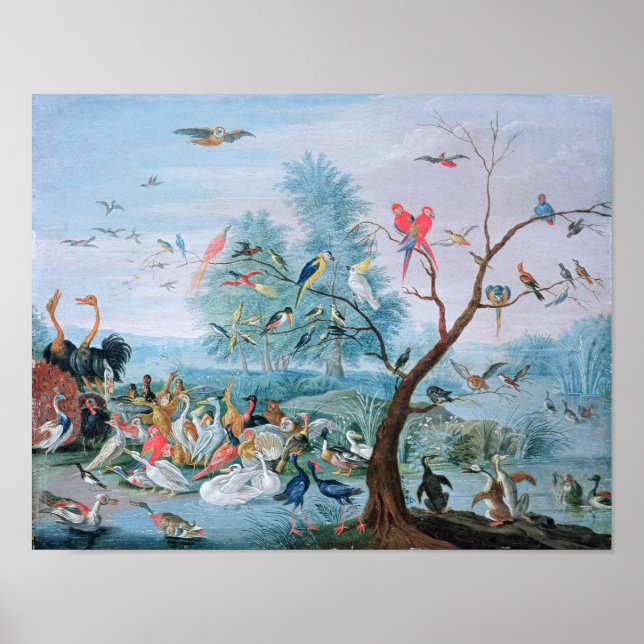 Affiches Les oiseaux tropicaux dans un paysage (Devant)