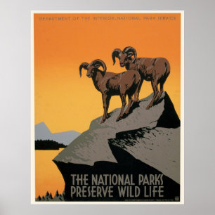 Affiches Les Parcs Nationaux Préservent La Faune