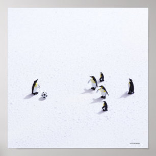 Affiches Les pingouins jouant au football
