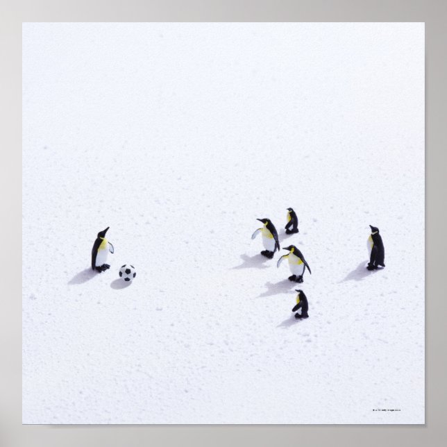 Affiches Les pingouins jouant au football (Devant)