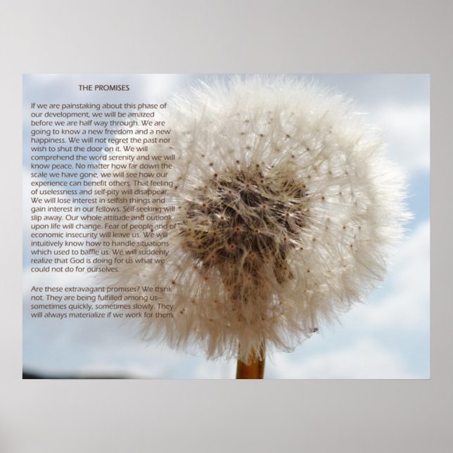 Affiches Les promesses (Devant)