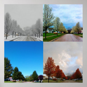 AFFICHES LES QUATRE SAISONS