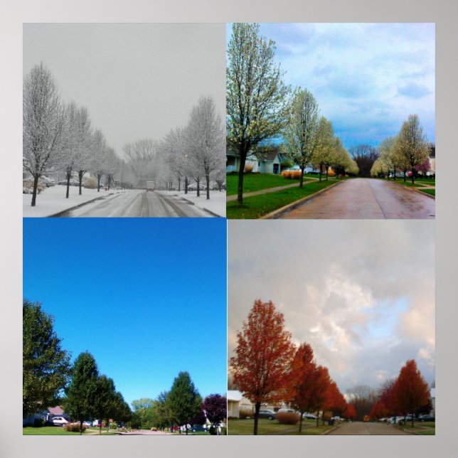 AFFICHES LES QUATRE SAISONS (Devant)