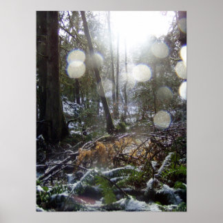 Affiches Les rayons du soleil de la forêt dans la neige #68
