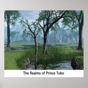 Affiches Les royaumes de prince Tobo