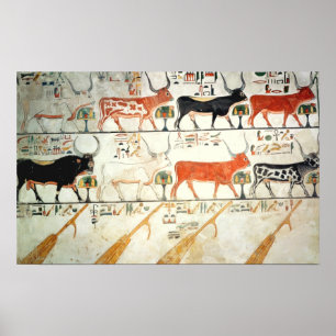 Affiches Les sept vaches célestes et le taureau sacré