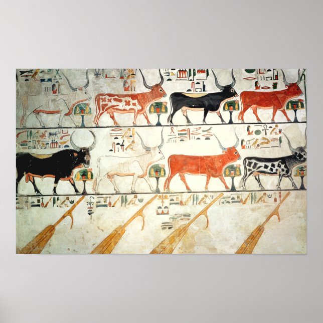 Affiches Les sept vaches célestes et le taureau sacré (Devant)