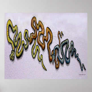 Affiches Les serpents
