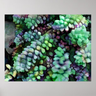 Affiches Les traces du cool Hued Burro dans le désert chaud