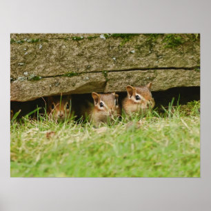 Affiches les trois amis