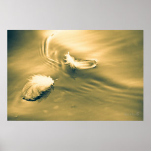 Affiches L'espoir est la chose avec les plumes