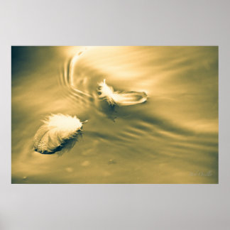 Affiches L'espoir est la chose avec les plumes