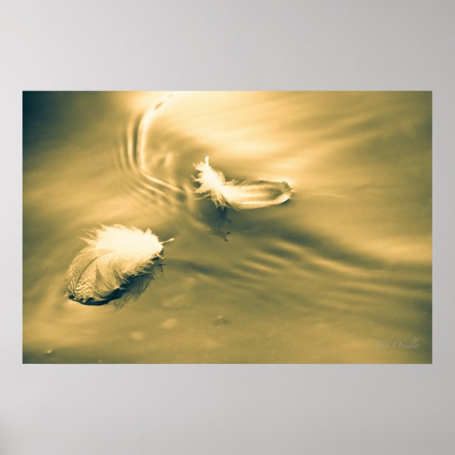 Affiches L'espoir est la chose avec les plumes (Devant)