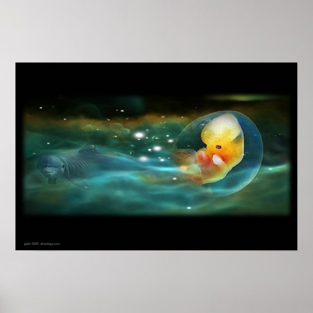 AFFICHES L'ESPRIT DES DOLPHINS (Devant)
