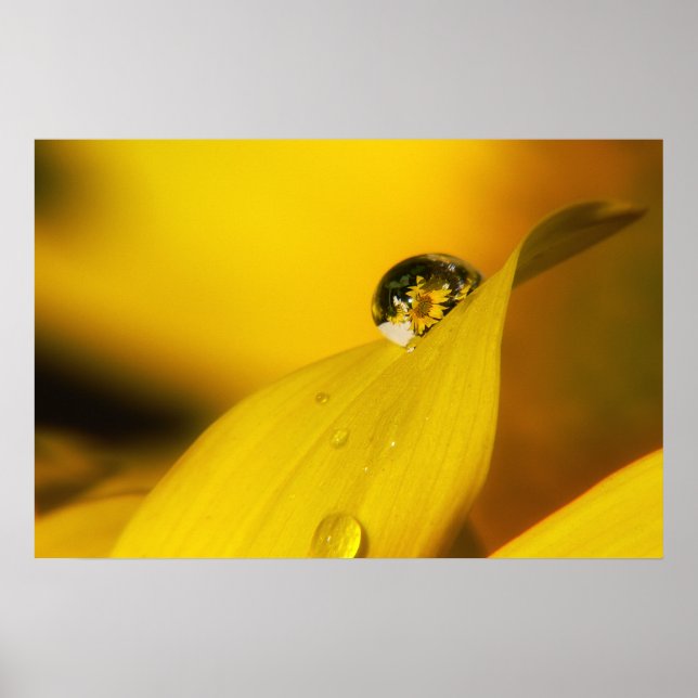 Affiches L'été dans une goutte II. (Devant)