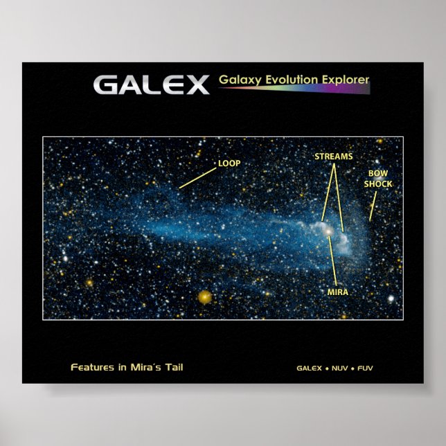 Affiches L'étoile détaillée Mira avec queue (Devant)