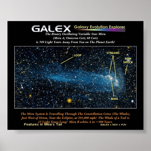 Affiches L'Etoile Détaillée Mira avec Queue, Le Binary Os.. (Devant)