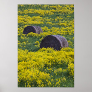 Affiches Lettonie, Nord-Est de la Lettonie, région de Vidze