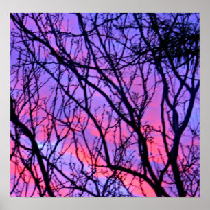 Affiches Lever de soleil Silohuette