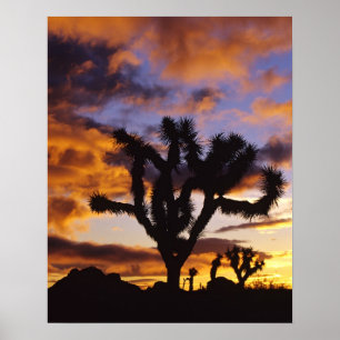 Affiches Lever de soleil spectaculaire au parc national de