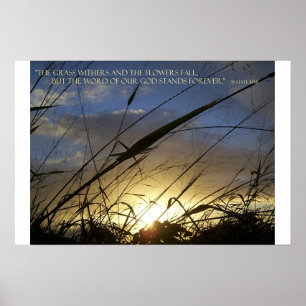 Affiches L'herbe Withers