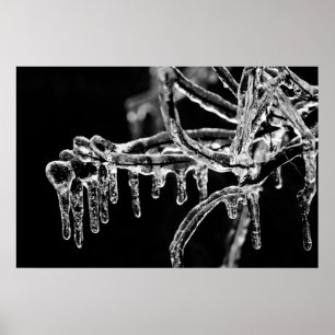 Affiches l'hiver
