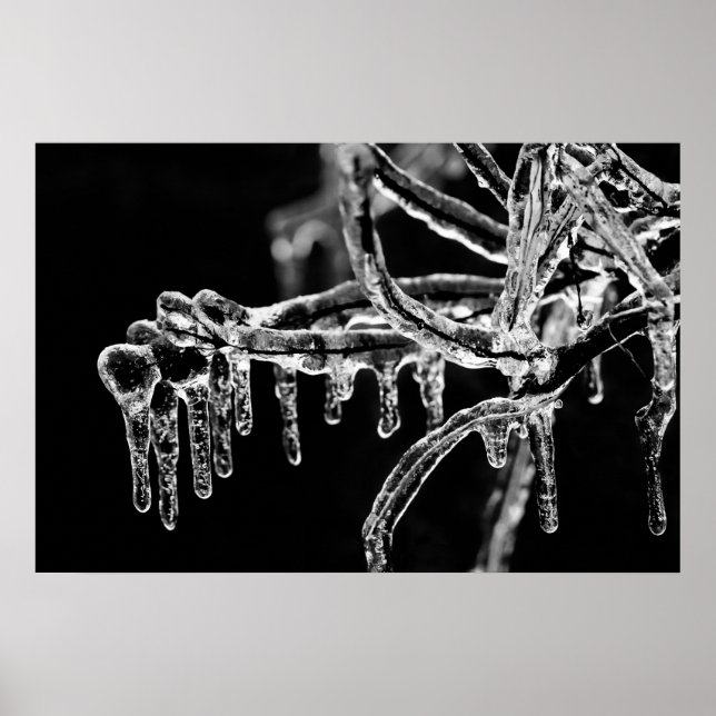 Affiches l'hiver (Devant)