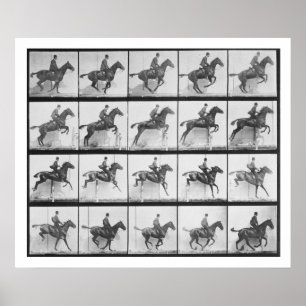 Affiches L'homme et le cheval sautant une barrière,