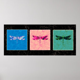 Affiches Libellules