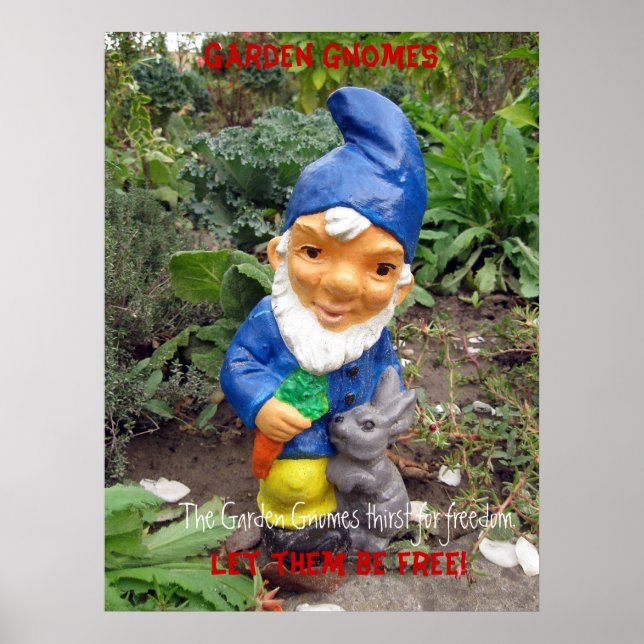 Affiches Libérez les génomes du jardin (Devant)