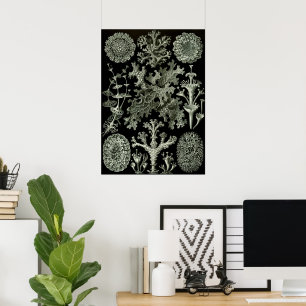 Affiches Lichen par Ernst Haeckel, Plantes Vintages de la n