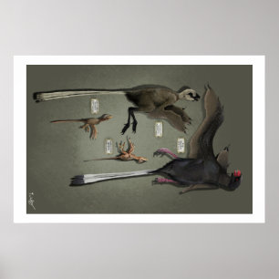 Affiches Life Size Sansoriopterygids