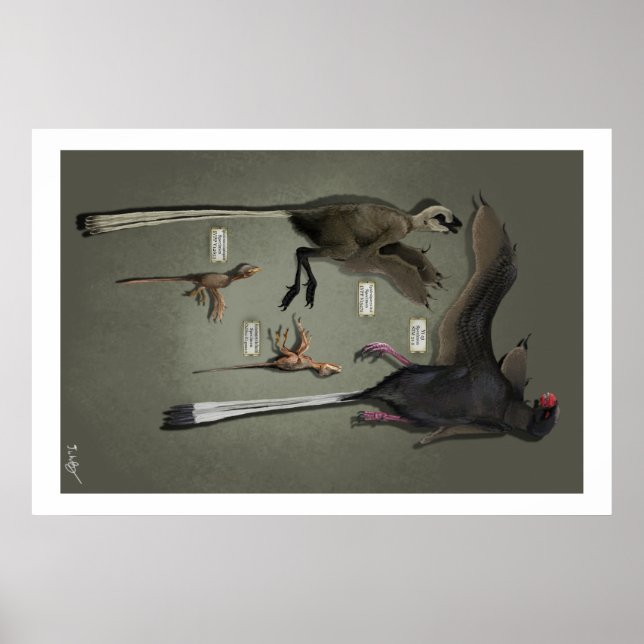 Affiches Life Size Sansoriopterygids (Devant)