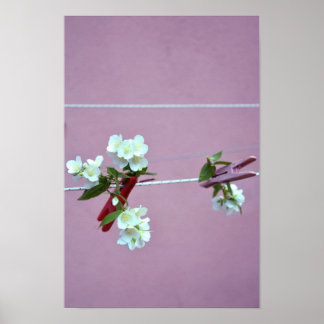 Affiches Ligne de ressort