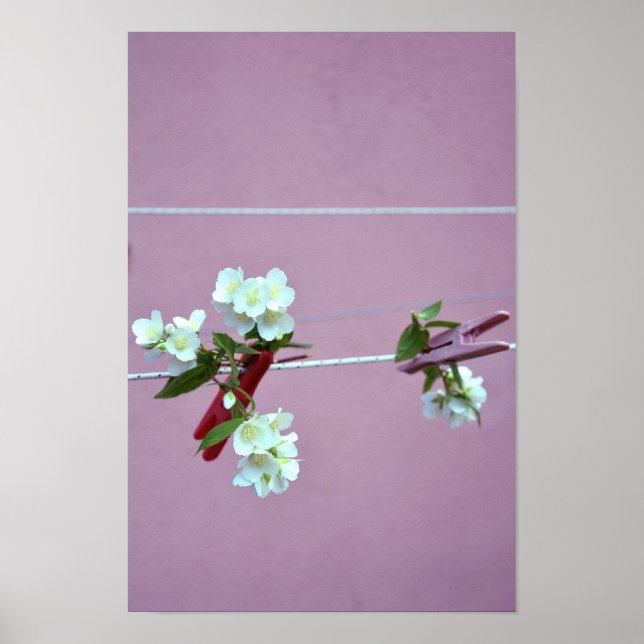 Affiches Ligne de ressort (Devant)