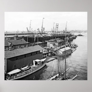 Affiches Ligne Holland America